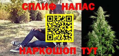 сатива Будённовск
