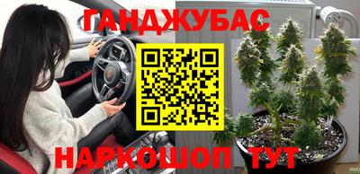 сатива Будённовск