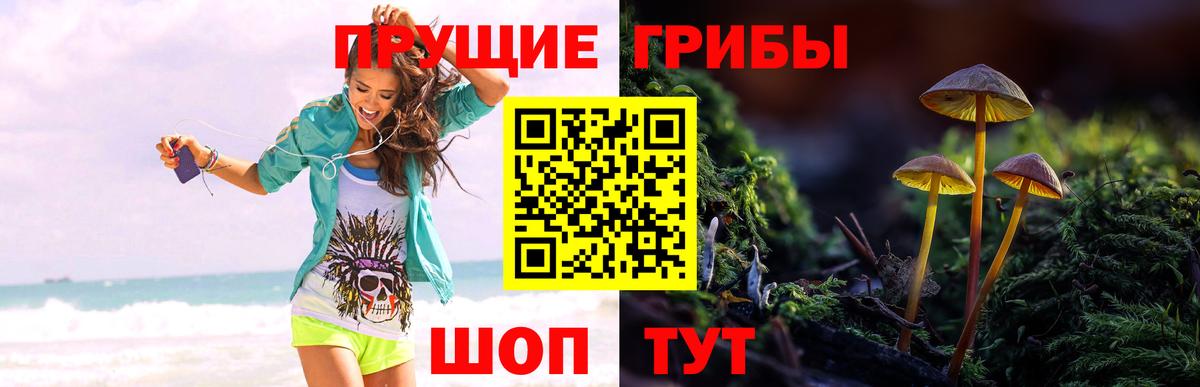 Псилоцибиновые грибы Magic Shrooms Нижневартовск